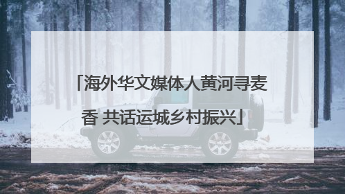 海外华文媒体人黄河寻麦香 共话运城乡村振兴