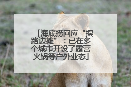 海底捞回应“摆路边摊”：已在多个城市开设了露营火锅等户外业态