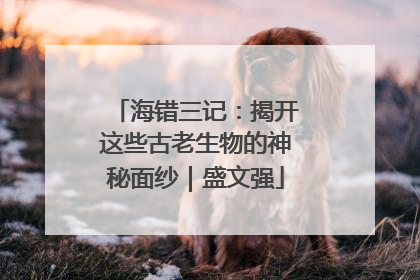海错三记：揭开这些古老生物的神秘面纱｜盛文强
