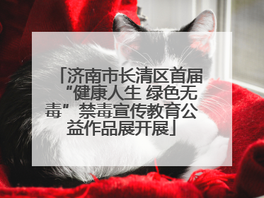 济南市长清区首届“健康人生 绿色无毒”禁毒宣传教育公益作品展开展