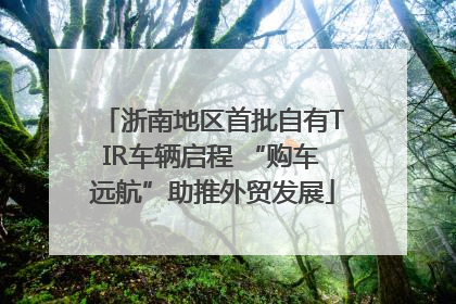 浙南地区首批自有TIR车辆启程 “购车远航”助推外贸发展