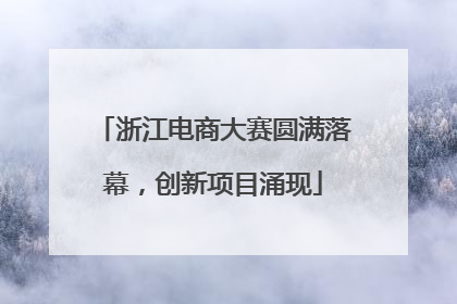 浙江电商大赛圆满落幕，创新项目涌现