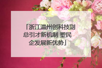 浙江温州创科技副总引才新机制 塑民企发展新优势