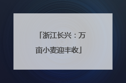 浙江长兴：万亩小麦迎丰收