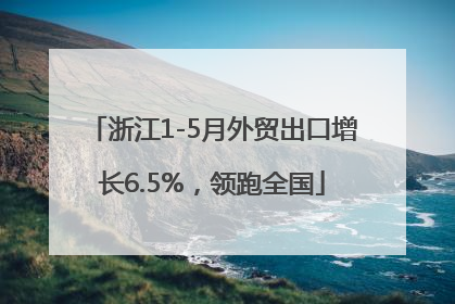 浙江1-5月外贸出口增长6.5%，领跑全国