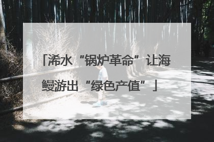 浠水“锅炉革命”让海鳗游出“绿色产值”