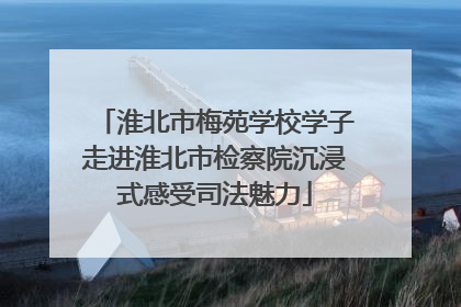 淮北市梅苑学校学子走进淮北市检察院沉浸式感受司法魅力