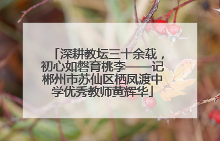 深耕教坛三十余载，初心如磐育桃李——记郴州市苏仙区栖凤渡中学优秀教师黄辉华