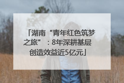 湖南“青年红色筑梦之旅”：8年深耕基层创造效益近5亿元