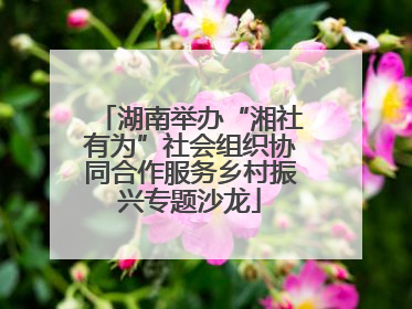 湖南举办“湘社有为”社会组织协同合作服务乡村振兴专题沙龙