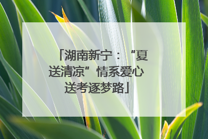 湖南新宁：“夏送清凉”情系爱心送考逐梦路