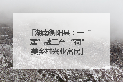 湖南衡阳县：一“莲”融三产 “荷”美乡村兴业富民