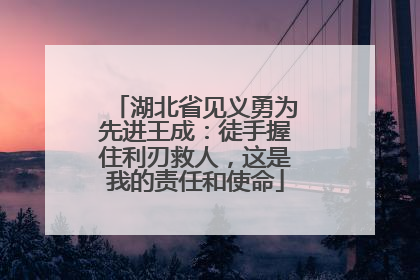 湖北省见义勇为先进王成：徒手握住利刃救人，这是我的责任和使命
