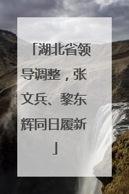 湖北省领导调整，张文兵、黎东辉同日履新