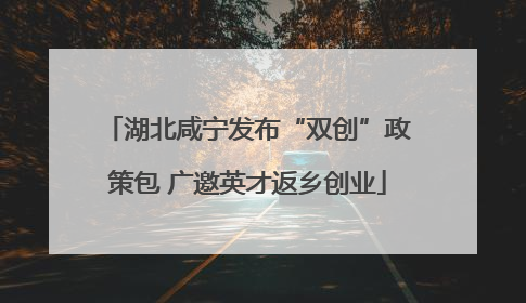 湖北咸宁发布“双创”政策包 广邀英才返乡创业