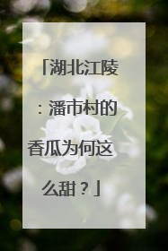 湖北江陵：潘市村的香瓜为何这么甜？