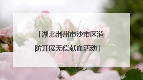 湖北荆州市沙市区消防开展无偿献血活动