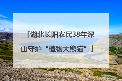 湖北长阳农民38年深山守护“植物大熊猫”