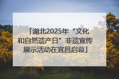 湖北2025年“文化和自然遗产日”非遗宣传展示活动在宜昌启幕