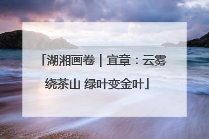 湖湘画卷｜宜章：云雾绕茶山 绿叶变金叶