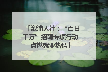 溆浦人社：“百日千万”招聘专项行动点燃就业热情