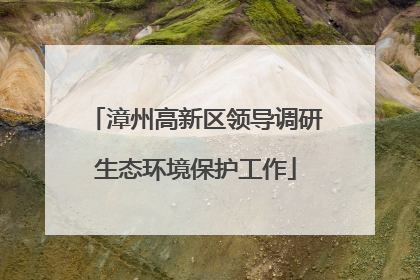 漳州高新区领导调研生态环境保护工作
