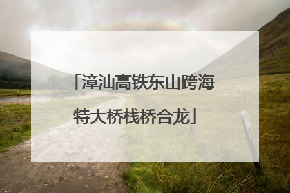 漳汕高铁东山跨海特大桥栈桥合龙