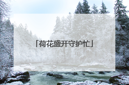 荷花盛开守护忙