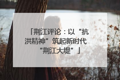 荆江评论：以“抗洪精神”筑起新时代“荆江大堤”