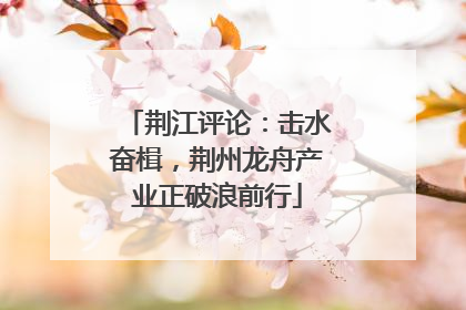 荆江评论：击水奋楫，荆州龙舟产业正破浪前行