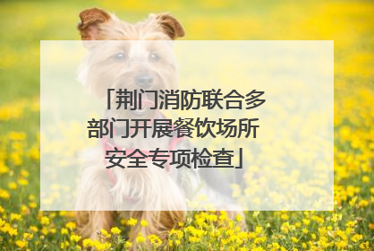 荆门消防联合多部门开展餐饮场所安全专项检查