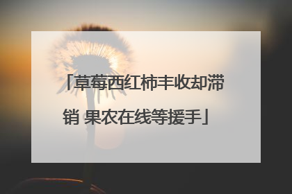 草莓西红柿丰收却滞销 果农在线等援手