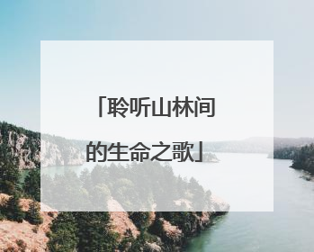 聆听山林间的生命之歌