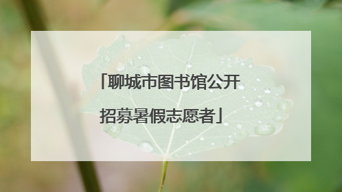 聊城市图书馆公开招募暑假志愿者