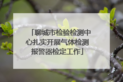聊城市检验检测中心扎实开展气体检测报警器检定工作