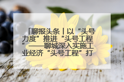 聊报头条丨以“头号力度”推进“头号工程”——聊城深入实施工业经济“头号工程”打造经济发展强引擎