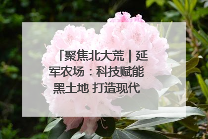聚焦北大荒｜延军农场：科技赋能黑土地 打造现代农业“智慧芯”