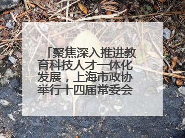 聚焦深入推进教育科技人才一体化发展，上海市政协举行十四届常委会第十八次会议，胡文容出席并讲话