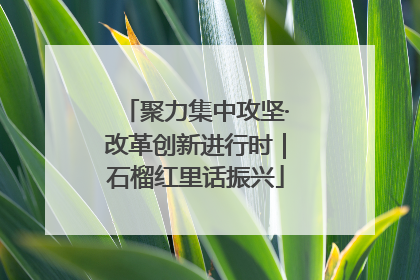 聚力集中攻坚·改革创新进行时｜石榴红里话振兴