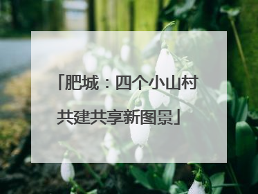 肥城：四个小山村共建共享新图景