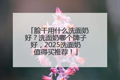脸干用什么洗面奶好？洗面奶哪个牌子好，2025洗面奶值得买推荐！
