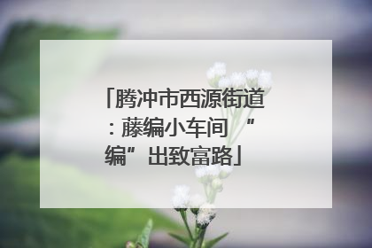 腾冲市西源街道：藤编小车间 “编”出致富路