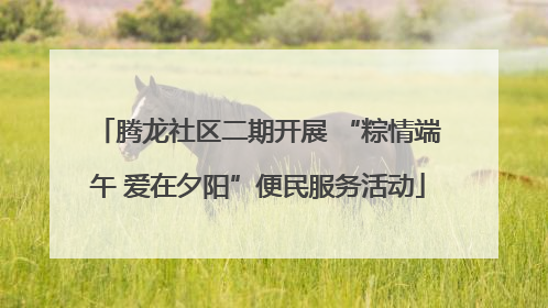 腾龙社区二期开展 “粽情端午 爱在夕阳”便民服务活动