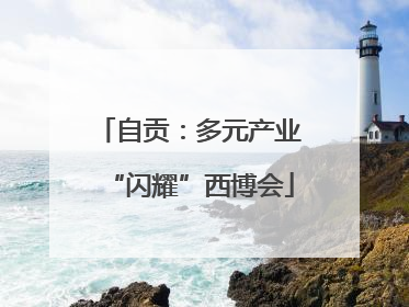 自贡：多元产业“闪耀”西博会