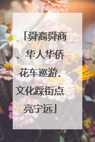 舜裔舜商、华人华侨花车巡游、文化踩街点亮宁远