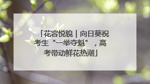 花容悦貌｜向日葵祝考生“一举夺魁”，高考带动鲜花热潮