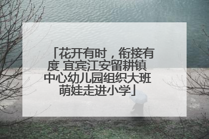 花开有时，衔接有度 宜宾江安留耕镇中心幼儿园组织大班萌娃走进小学