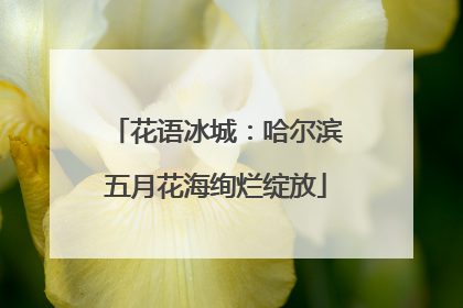 花语冰城：哈尔滨五月花海绚烂绽放