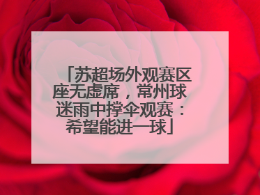 苏超场外观赛区座无虚席，常州球迷雨中撑伞观赛：希望能进一球