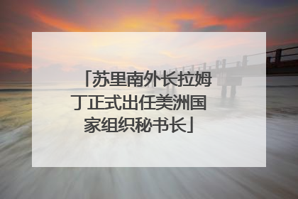苏里南外长拉姆丁正式出任美洲国家组织秘书长